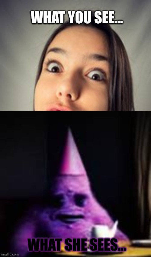 WHAT YOU SEE... WHAT SHE SEES... | made w/ Imgflip meme maker