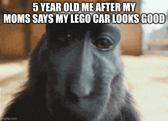 sigma monkey | 5 YEAR OLD ME AFTER MY MOMS SAYS MY LEGO CAR LOOKS GOOD | image tagged in sigma,monkey | made w/ Imgflip meme maker