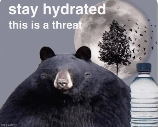 Stay hydrated this is a threat | image tagged in stay hydrated this is a threat | made w/ Imgflip meme maker