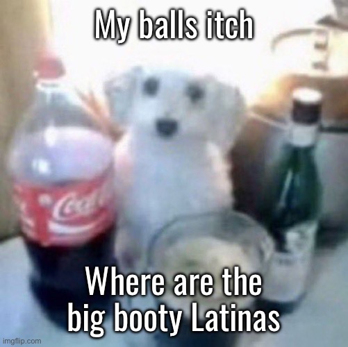 If yous one hmu | My balls itch; Where are the big booty Latinas | image tagged in i got that dog in me | made w/ Imgflip meme maker