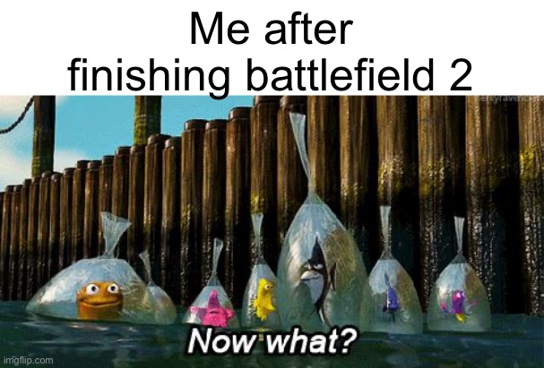 Now What? | Me after finishing battlefield 2 | image tagged in now what | made w/ Imgflip meme maker