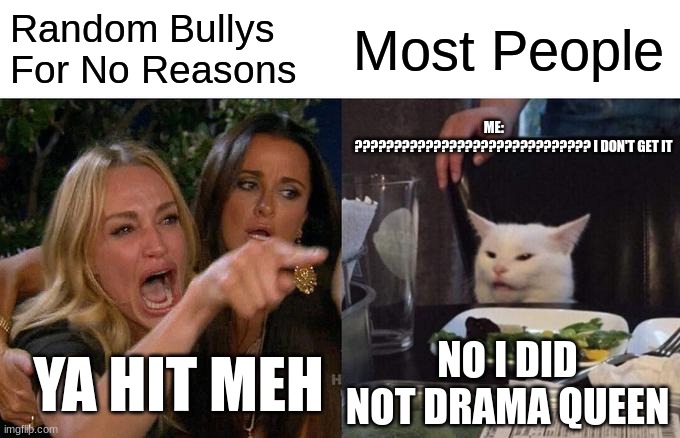 Woman Yelling At Cat Meme | Random Bullys For No Reasons; Most People; ME:                ?????????????????????????????? I DON'T GET IT; YA HIT MEH; NO I DID NOT DRAMA QUEEN | image tagged in memes,woman yelling at cat | made w/ Imgflip meme maker