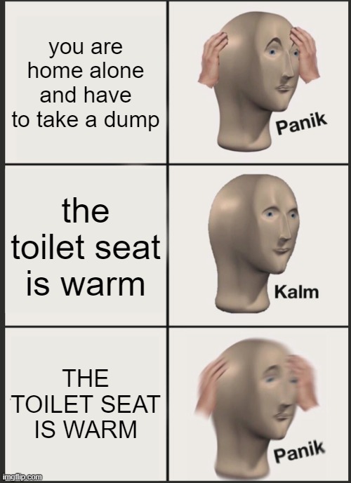 POV: You are home alone | you are home alone and have to take a dump; the toilet seat is warm; THE TOILET SEAT IS WARM | image tagged in memes,panik kalm panik | made w/ Imgflip meme maker