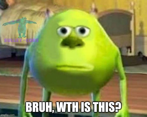 Monsters Inc | BRUH, WTH IS THIS? | image tagged in monsters inc | made w/ Imgflip meme maker