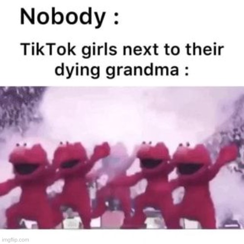 frrr | image tagged in funny | made w/ Imgflip meme maker