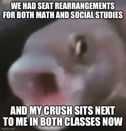 on an unrelated note, Part 16 won’t be coming out cuz im posting them faster than i can make them and i wanna make more | WE HAD SEAT REARRANGEMENTS FOR BOTH MATH AND SOCIAL STUDIES; AND MY CRUSH SITS NEXT TO ME IN BOTH CLASSES NOW | image tagged in poggers fish | made w/ Imgflip meme maker