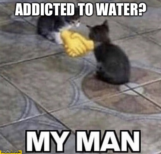 Cats shaking hands | ADDICTED TO WATER? | image tagged in cats shaking hands | made w/ Imgflip meme maker