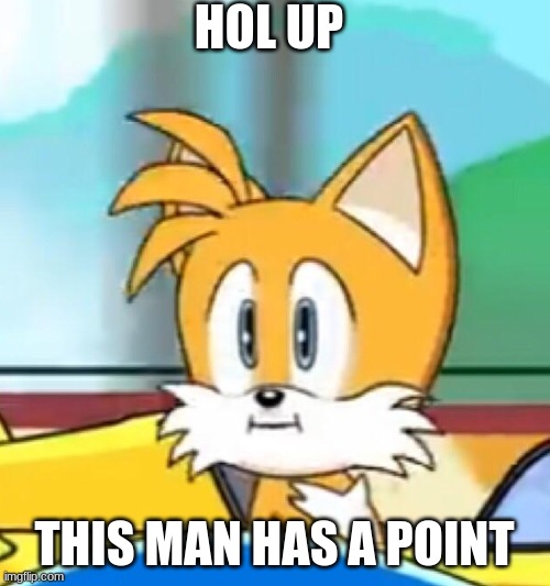 Tails hold up | HOL UP THIS MAN HAS A POINT | image tagged in tails hold up | made w/ Imgflip meme maker