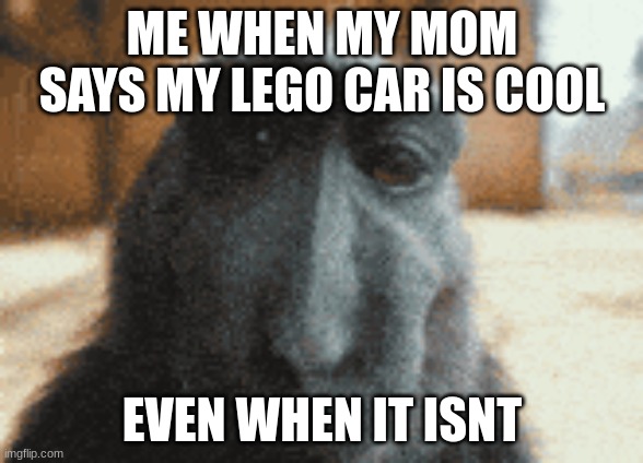 ME WHEN MY MOM SAYS MY LEGO CAR IS COOL; EVEN WHEN IT ISNT | image tagged in sigma | made w/ Imgflip meme maker
