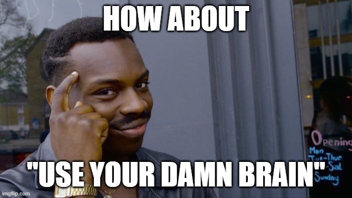 Roll Safe Think About It Meme | HOW ABOUT; "USE YOUR DAMN BRAIN" | image tagged in memes,roll safe think about it | made w/ Imgflip meme maker