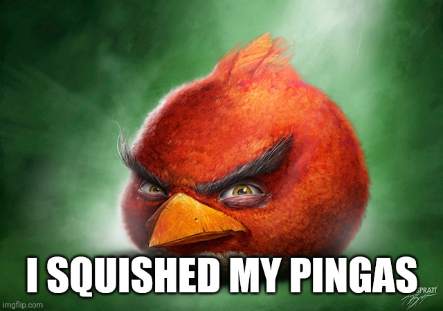 GRRRR | I SQUISHED MY PINGAS | image tagged in grrrr | made w/ Imgflip meme maker