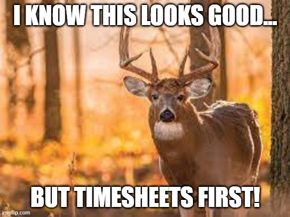 Deer | I KNOW THIS LOOKS GOOD... BUT TIMESHEETS FIRST! | image tagged in deer | made w/ Imgflip meme maker