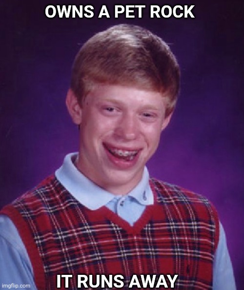 Brian's Pet Rock | OWNS A PET ROCK; IT RUNS AWAY | image tagged in bad luck brian | made w/ Imgflip meme maker