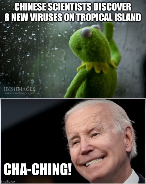 Looks like Biden and China’s other paid assets are going to get paid again. | CHINESE SCIENTISTS DISCOVER 8 NEW VIRUSES ON TROPICAL ISLAND; CHA-CHING! | image tagged in joe biden - geezer goon groper,politics,china,kung flu,government corruption,covid 19 | made w/ Imgflip meme maker