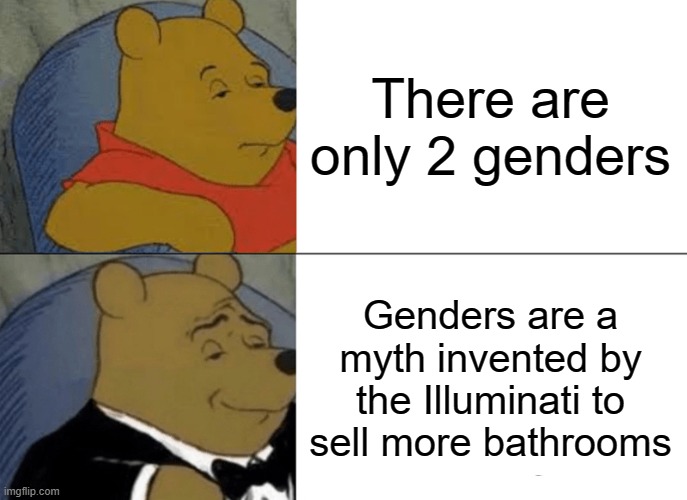 Tuxedo Winnie The Pooh | There are only 2 genders; Genders are a myth invented by the Illuminati to sell more bathrooms | image tagged in memes,tuxedo winnie the pooh | made w/ Imgflip meme maker