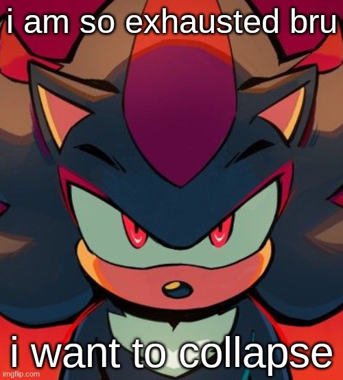 shadow glare | i am so exhausted bru; i want to collapse | image tagged in shadow glare | made w/ Imgflip meme maker