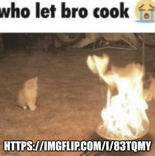 who let bro cook | HTTPS://IMGFLIP.COM/I/83TQMY | image tagged in who let bro cook | made w/ Imgflip meme maker