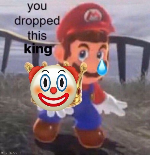 Mario you dropped this king | image tagged in mario you dropped this king | made w/ Imgflip meme maker