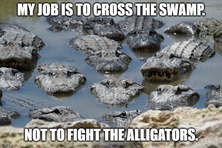 Crossing the Swamp | MY JOB IS TO CROSS THE SWAMP. NOT TO FIGHT THE ALLIGATORS. | image tagged in swamp,alligators,conflict | made w/ Imgflip meme maker