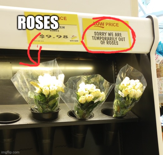 ROSES | made w/ Imgflip meme maker