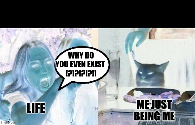 idk why this seems to be true (doesn't seem to deal with wof but i thought would just put it out there | WHY DO YOU EVEN EXIST 
!?!?!?!?!! LIFE; ME JUST BEING ME | image tagged in memes,woman yelling at cat,wof | made w/ Imgflip meme maker