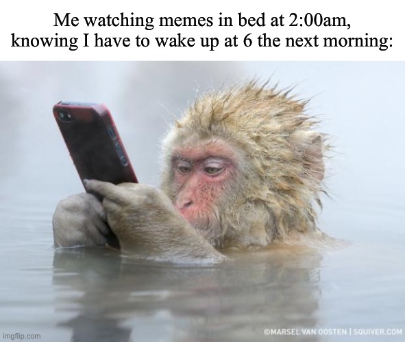 Literally me | Me watching memes in bed at 2:00am, knowing I have to wake up at 6 the next morning: | image tagged in monkey mobile phone | made w/ Imgflip meme maker