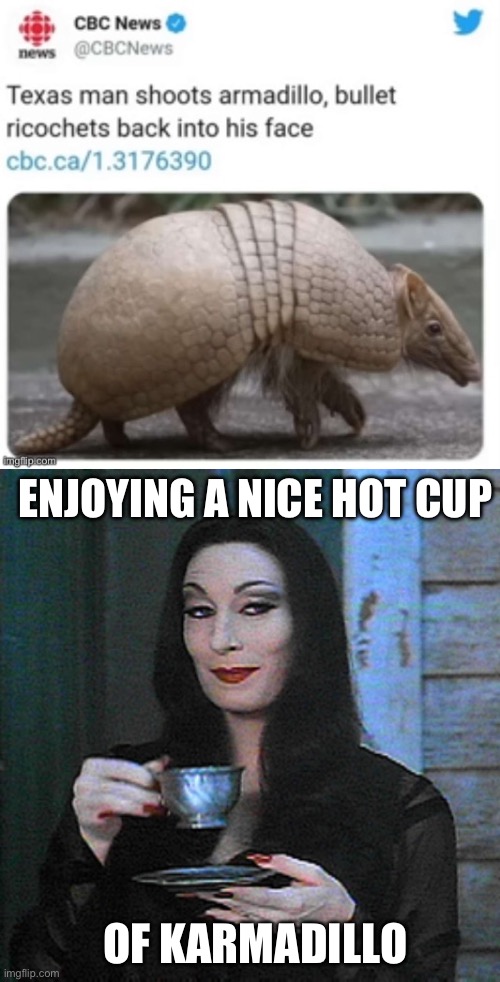 Nice hot cuppa | ENJOYING A NICE HOT CUP; OF KARMADILLO | image tagged in better than karma,cuppa,karma | made w/ Imgflip meme maker