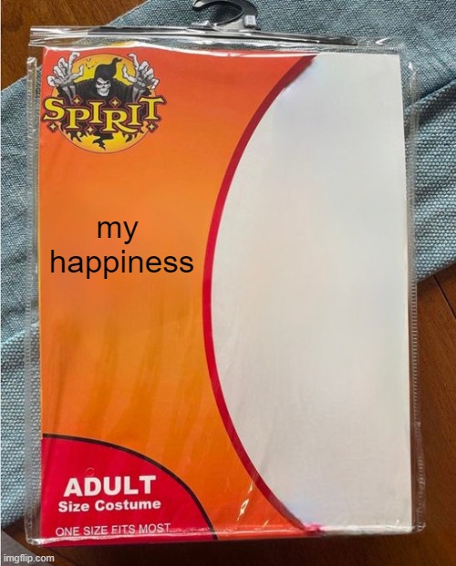 spirit halloween | my 
happiness | image tagged in spirit halloween | made w/ Imgflip meme maker