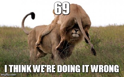 image tagged in funny,animals | made w/ Imgflip meme maker