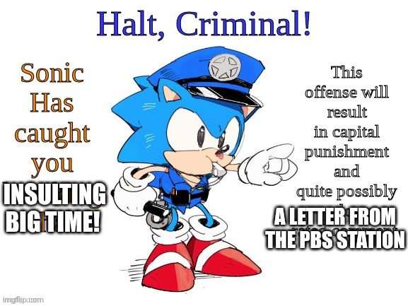 Halt Criminal (Sonic) | INSULTING BIG TIME! A LETTER FROM THE PBS STATION | image tagged in halt criminal sonic | made w/ Imgflip meme maker