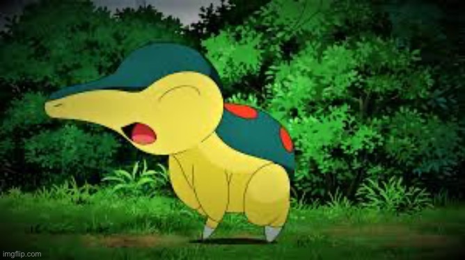 Cyndaquill | image tagged in cyndaquill | made w/ Imgflip meme maker