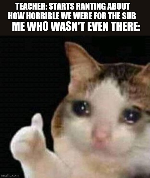 sad thumbs up cat | TEACHER: STARTS RANTING ABOUT HOW HORRIBLE WE WERE FOR THE SUB; ME WHO WASN'T EVEN THERE: | image tagged in sad thumbs up cat | made w/ Imgflip meme maker