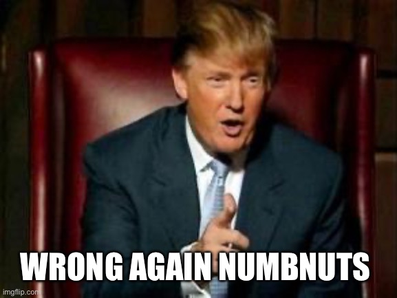 WRONG AGAIN NUMBNUTS | image tagged in donald trump | made w/ Imgflip meme maker