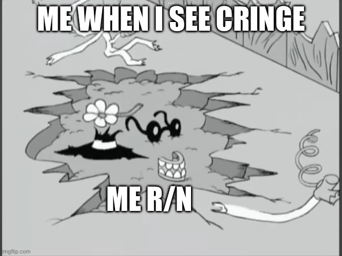 Me when I see cringe | ME WHEN I SEE CRINGE; ME R/N | image tagged in radom meme | made w/ Imgflip meme maker
