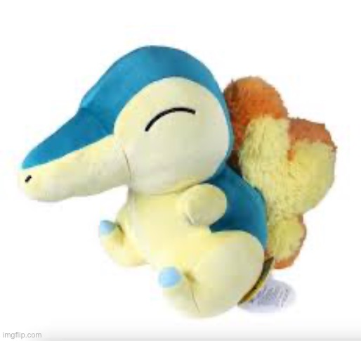 Cyndaquill plush | image tagged in cyndaquill plush | made w/ Imgflip meme maker