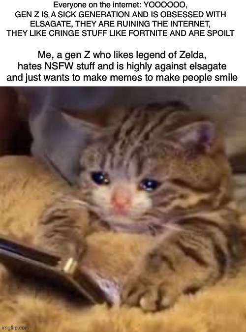 I hate it when you lump people into one group because if something… | Everyone on the internet: YOOOOOO, GEN Z IS A SICK GENERATION AND IS OBSESSED WITH ELSAGATE, THEY ARE RUINING THE INTERNET, THEY LIKE CRINGE STUFF LIKE FORTNITE AND ARE SPOILT; Me, a gen Z who likes legend of Zelda, hates NSFW stuff and is highly against elsagate and just wants to make memes to make people smile | image tagged in sad cat looking at phone,elsa gate,gen z,internet | made w/ Imgflip meme maker