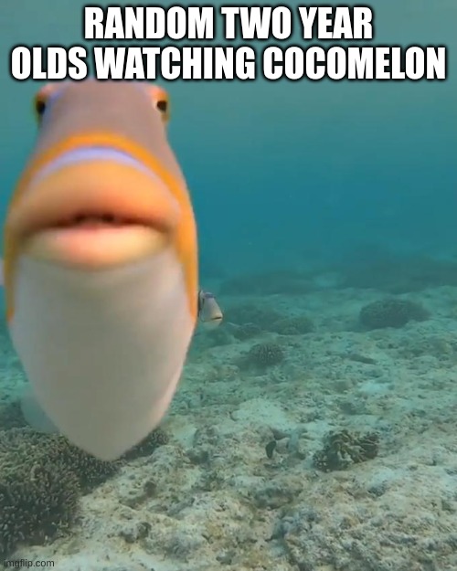 Bro | RANDOM TWO YEAR OLDS WATCHING COCOMELON | image tagged in staring fish,cocomelon | made w/ Imgflip meme maker