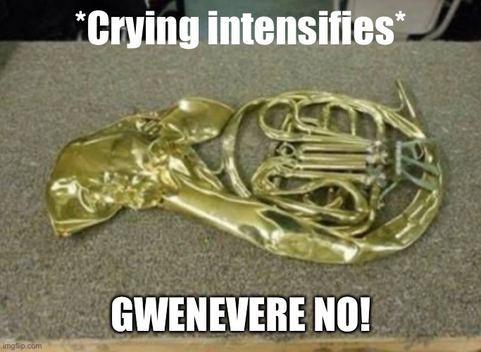 Rest in peace mf | *Crying intensifies*; GWENEVERE NO! | made w/ Imgflip meme maker