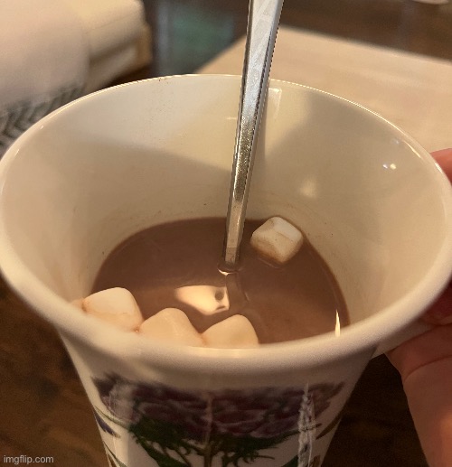 Trying my homemade hot chocolate | made w/ Imgflip meme maker