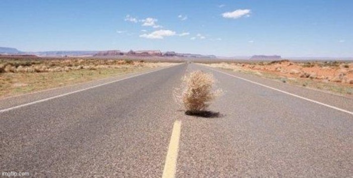 tumbleweed | image tagged in tumbleweed | made w/ Imgflip meme maker