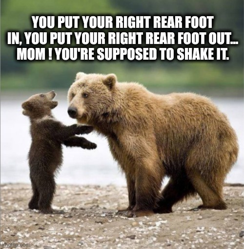 Hoky Poky | YOU PUT YOUR RIGHT REAR FOOT IN, YOU PUT YOUR RIGHT REAR FOOT OUT...
MOM ! YOU'RE SUPPOSED TO SHAKE IT. | image tagged in bear hoky poky | made w/ Imgflip meme maker
