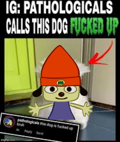 This dog is fucked up bruh 2 | image tagged in this dog is fucked up bruh 2 | made w/ Imgflip meme maker