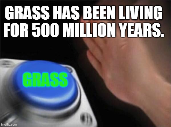 Average Science Classes | GRASS HAS BEEN LIVING FOR 500 MILLION YEARS. GRASS | image tagged in memes,blank nut button | made w/ Imgflip meme maker