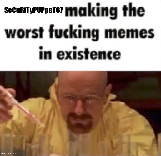 they make fun stream type memes | SeCuRiTyPUPpeT67 | image tagged in weebs making the worst fucking memes inexistence | made w/ Imgflip meme maker