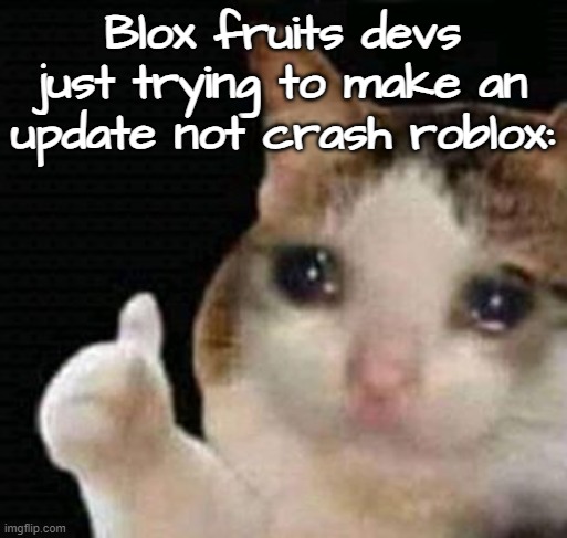 sad thumbs up cat | Blox fruits devs just trying to make an update not crash roblox: | image tagged in sad thumbs up cat | made w/ Imgflip meme maker