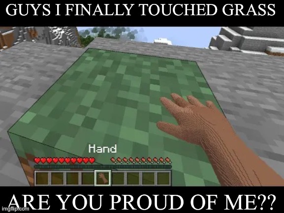 Hand touching Minecraft grass block | GUYS I FINALLY TOUCHED GRASS; ARE YOU PROUD OF ME?? | image tagged in hand touching minecraft grass block | made w/ Imgflip meme maker