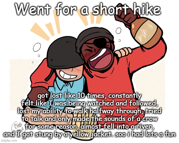 soldier and demo | Went for a short hike; got lost like 10 times, constantly felt like I was being watched and followed, lost my ability to walk halfway through, tried to talk and only made the sounds of a crow for some reason, almost fell into a river, and I got stung by a yellow jacket. soo i had lots a fun | image tagged in soldier and demo | made w/ Imgflip meme maker