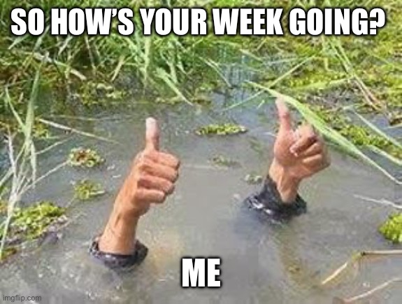 I’m Alright | SO HOW’S YOUR WEEK GOING? ME | image tagged in flooding thumbs up | made w/ Imgflip meme maker