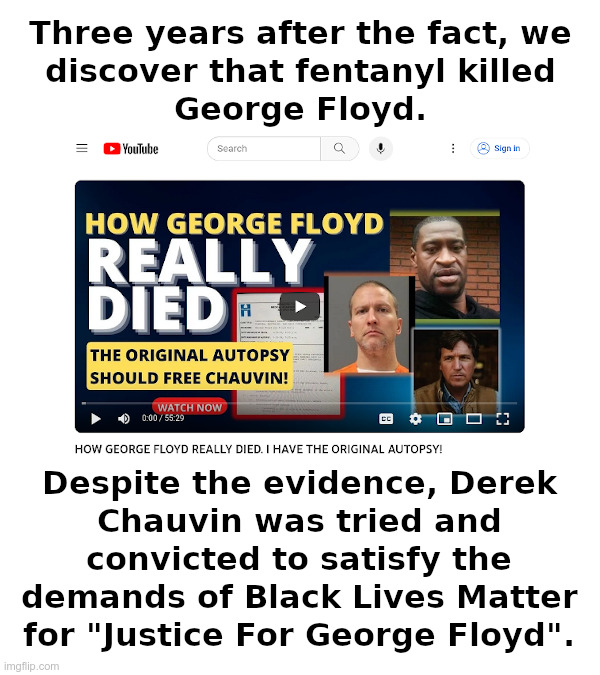 Justice For George Floyd? | image tagged in fentanyl,killed,george floyd,derek chauvin,convicted,justice for george floyd | made w/ Imgflip meme maker