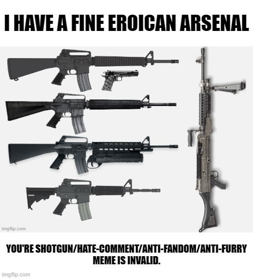 I Have a Fine Eroican Arsenal, Your Argument Is Invalid. Blank Meme Template